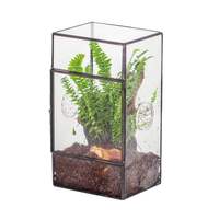 Terrarium carré de luxe en métal noir et or avec verre, boîte de rangement pour plantes succulentes préservées, présentoir LED pour Noël et la Saint-Valentin