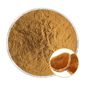 สารสกัดจากแผ่นดอกทานตะวัน10:1 20:1 30:1; ผงแผ่นดอกทานตะวันผงละลายน้ำเกรดอาหาร - Product Image 1