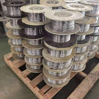 Fil de plomb souple 2mm 3mm 4mm 4.5mm 5mm 5.5mm 6mm Fil de plomb pur pour soudage