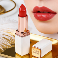 Maquillage OEM en gros, faible MOQ, rouge à lèvres crème mat vegan longue tenue et waterproof, marque privée, logo personnalisé