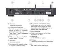 Lecteur audio numérique DMP20, appareil avec puce DAC DSD512 PCM756 XLR RCA, lecteur de musique, réseau, nouveauté