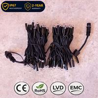 Guirlande lumineuse LED décorative pour toute l'année, avec câble en caoutchouc IP67 H03RN-F 1x0.5mm² 20AWG, lumière blanc chaud 2700K, prise EU 220V