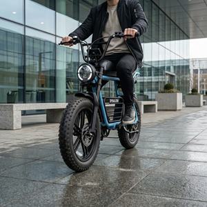 Urban Premium Vintage Fatbike E-Bike mit LCD-Display, City-Elektrofahrrad für Messezentren und Anfahrtsplassen - Product Image 1