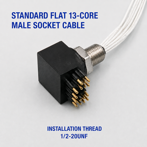 Connecteur sous-marin étanche HYSF SUBSEA LPIL13M standard à <span class=keywords><strong>13</strong></span> <span class=keywords><strong>broches</strong></span> mâle, <span class=keywords><strong>prise</strong></span> d'alimentation pour carte PCB, 7A 2A, filetage 1/2-20UNF, pour ROV - Product Image 1