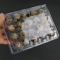 Cartons d'oeufs de caille en plastique Emballage d'oeufs de caille 20 trous Fournisseurs de boîtes d'oeufs de caille