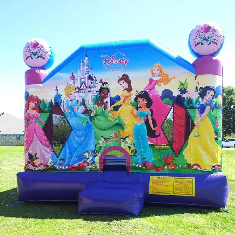 Moonwalk Castle Ans The Frog And Inflatable 100% Jum Princess Pvc Bounce Hous