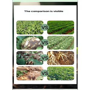 Tembotrione erbicida selettivo per mais, combatte le specie annuali a foglia larga e le <span class=keywords><strong>erbacce</strong></span>, a lunga durata, sicuro per il mais. - Product Image 4