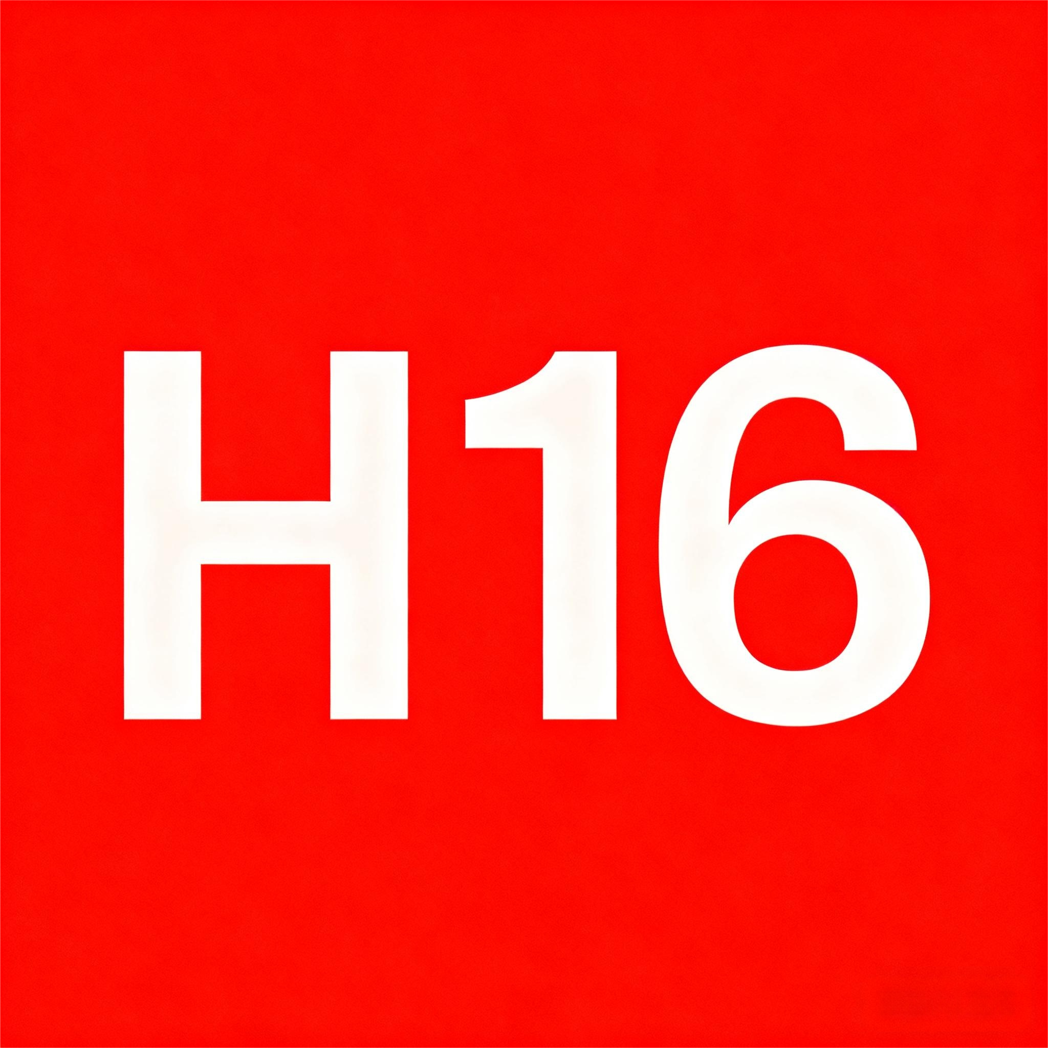 H16/5202