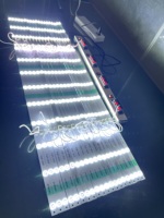 Bande LED de haute qualité, super luminosité, AC220V, diffuseur de bande LED, lentille de bande LED, lumière en aluminium, PCB blanc pour boîte lumineuse publicitaire