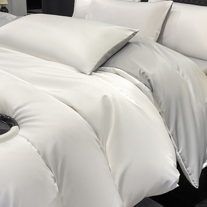 Parure <span class=keywords><strong>de</strong></span> lit <span class=keywords><strong>de</strong></span> luxe 4 pièces en soie glacée lavée pour l'été, design double face, fraîche <span class=keywords><strong>et</strong></span> confortable, pour hôtel <span class=keywords><strong>et</strong></span> maison, AB - Product Image 3