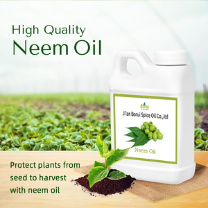 بالجملة طبيعي خالص النيم أفضل سعر مكبس بارد للنباتات للاستخدام الزراعي Olio Di <span class=keywords><strong>Neem</strong></span> لكل Agricoltura - Product Image 2