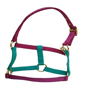 Harnais pour cheval en nylon violet et turquoise avec quincaillerie dorée, collier réglable, fabricant Equine Riding House Kanpur Inde - Product Image 1