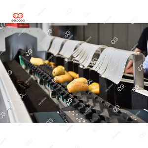 Máquina Electrónica Automatizada para Clasificar, Calibrar y Empacar Frutas, Máquina Clasificadora y Calibradora de Piña y Manzana para Línea de Frutas - Product Image 5