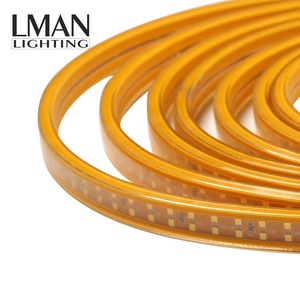 Striscia LED Flessibile in PVC di Alta Qualità, Impermeabile IP65, Doppia <span class=keywords><strong>Linea</strong></span> SMD2835, Certificata ETL, AC110V/220V - Product Image 6