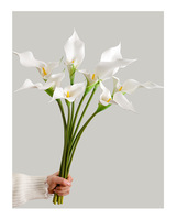 Fleurs artificielles Calla Lilies à longue tige de 60 cm en EVA, effet réaliste, blanches, modernes, pour la décoration de la maison et de mariage (vente en gros)