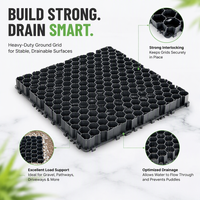 Grille de pavage en plastique de style industriel, grille à gazon avancée pour la protection et la durabilité des terrains de parc