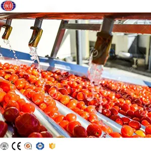 Máquina de procesamiento de salsa de tomate industrial Línea de producción de pasta de tomate a la venta