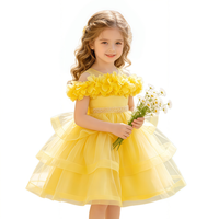 Robe de princesse jaune à épaules dénudées avec appliques florales 3D en tulle pour mariage, anniversaire, concours de beauté, spectacle, costume de fille
