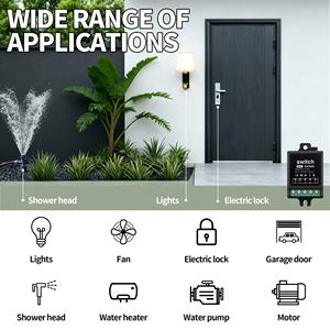 迷你涂鸦智能家居 WiFi 智能照明开关 433MHz 遥控开关 DC 12V 10A WiFi 开关 智能家居设备 - Product Image 3