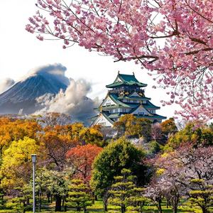 Servicios de Inspección Previa al Envío de Alta Calidad de un Proveedor de Servicios Empresariales en Tokio, Visita a Fábrica, Soporte 24/7 para Maquinaria - Product Image 1