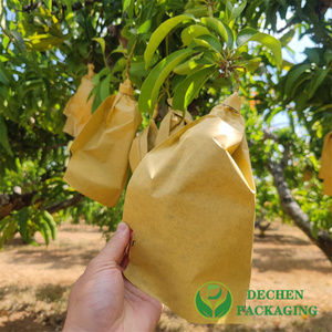 Fruit Protective Single Layer Grape Growing Cover Banana Protection Bag Paper