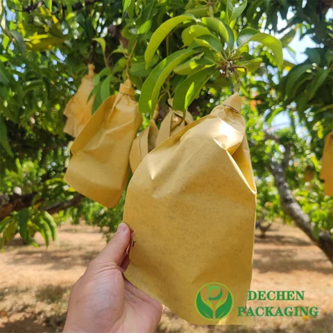 Biodegradable Waterproof Paper Bag for Mango Grow