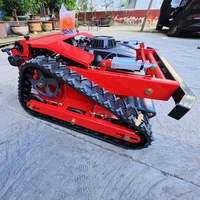Tondeuse à gazon robotisée miniature, la moins chère au monde, avec moteur de marque, pour jardin.