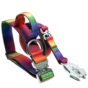 Rainbow Gradient Nylon Dog <b>Collar</b> & Leash Set, Heavy Duty with Luxury Metal Buckle for Medium Large Dogs - Product Image 6