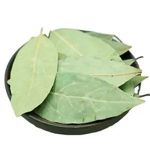 Huaran Bay Leaves Production Factory Wholesale And Retail Spices Dried Bay Leaf