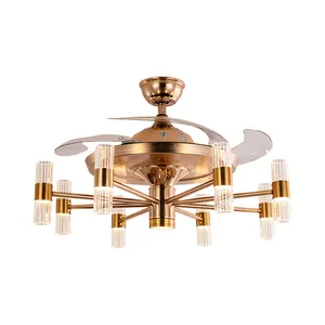 CHINA Factory 2021 New Design Postmodern Clear Blades Ceiling Fan With Light And Remote Control