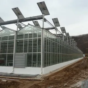 Serre photovoltaïque de grande valeur Pc Board avec système hydroponique Équipements de culture de champignons Équipements et outils agricoles