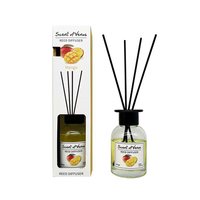 Diffuseur d'ambiance 100 ml avec bâtonnets parfumés aux fruits, parfum d'intérieur en stock pour livraison immédiate, mangue et pastèque