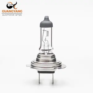 Nhà Sản Xuất Bóng Đèn Halogen Xe H7 12V 100W PX26D Tự Động Halogen H7 Thạch Anh Thủy Tinh Rõ Ràng Tự Động Đèn Halogen H7 Rõ Ràng