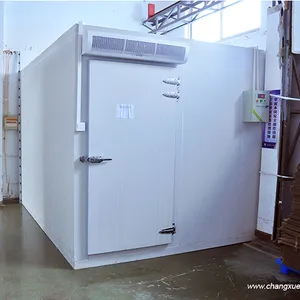 Sala de refrigeración de 40 metros cuadrados, habitación fría para peces