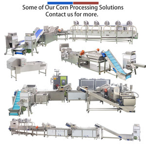 Chaîne de traitement des grains de maïs : Machine de décorticage, blanchiment et séchage à air pour maïs doux, conception industrielle - Product Image 6
