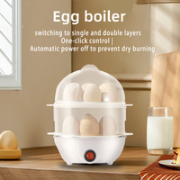 Cuiseur vapeur électrique automatique pour œufs durs prêts-à-manger pour la cuisine à la maison Pot à vapeur rapide avec boîtier en plastique