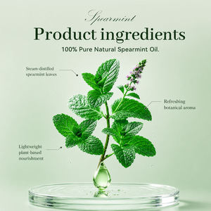 Huile Essentielle de Menthe Verte 5ml Qualité Thérapeutique Naturelle pour Diffuseur Massage Soins de la Peau Détente Musculaire Rafraîchissement des Sens - Product Image 5