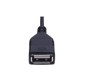 Adaptador de Cable USB <span class=keywords><strong>para</strong></span> Radio de Vehículo, Interfaz de Puerto USB Hembra <span class=keywords><strong>para</strong></span> <span class=keywords><strong>Memoria</strong></span> USB, Reproductor de Música <span class=keywords><strong>MP3</strong></span> o WMA - Product Image 2