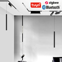 Projecteurs LED magnétiques intelligents TUYA avec ZIGBEE, spots sur rail en aluminium modernes, longueurs de 300 et 600 mm