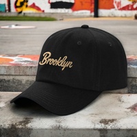 Gorra de Béisbol Personalizada de 6 Paneles con Bordado 3D en Relieve, Permite Diseñar Tu Propio Logotipo