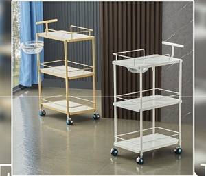 Beauty salon <b>trolley</b> for manicure eyelash extension tattoo and storage rack luxury instrument storage rack mobile <b>tool</b> cart - Product Image 3