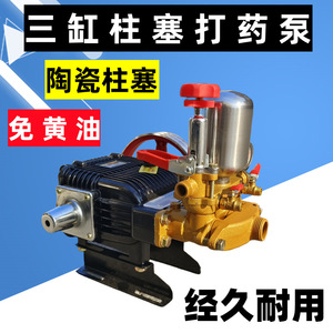 Bomba de Agua de Alta Presión con Pistón Cerámico de Tres Cilindros, Cabezal de Bomba Motorizado para Limpiadores de Alta Presión de Gasolina/Diésel - Product Image 2