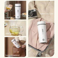 Bouilloire électrique portable intelligente en acier inoxydable avec alimentation par batterie pour voiture et usage domestique, ébullition automatique et maintien au chaud
