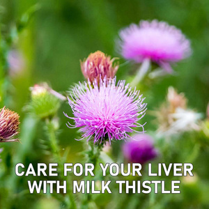 OEM Enhance Immunity Liver Detox Cleanse Softgels Choline Milk Thistle Herbal Liver Detox Cleanse Softgels <b>Supplement</b> - Product Image 5