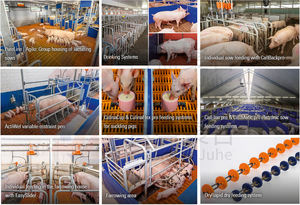 बकरी पालन शेड पोल्ट्री हाउस चिकन कॉप गाय मवेशी भवन सुअर फार्म परत पिंजरे अंडा घोड़ा स्थिर डिजाइन स्टील संरचनात्मक - Product Image 4