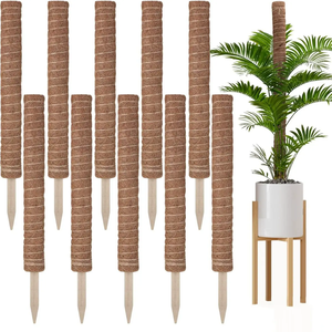 Oferta Especial: Varillas de Coco y Musgo Sphagnum para Soporte de Plantas Trepadoras y Macetas - Product Image 3