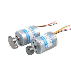 고토크 조절식 12V 24V 브러시리스 <span class=keywords><strong>DC</strong></span> 진동 모터 유성 기어 (<span class=keywords><strong>2430</strong></span>) 소형 고토크 조절식 진동 모터 - Product Image 6