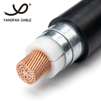Cables de Energía XLPE Cu/XLPE/PVC Al/XLPE/PVC Blindados SWA 0.6/1kV 1C 2C 3C 4C 5C GB/T 12706
