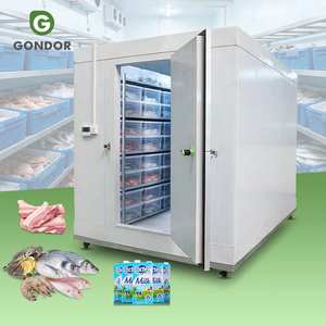Congelador Horizontal Grande Mini 20/40, Completo para Carnicería, Panadería, Frutas y Pescado, con Temperatura Negativa para Cuarto Frío - Product Image 1