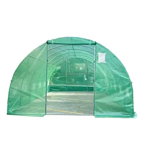 Пластиковый сарай, клубника, теплицы, полиэтиленовая пленка, туннельная теплица для сельскохозяйственных томатов